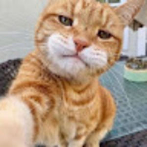 Meet your Posher, Maisha